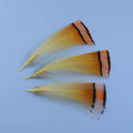 6PCS-10cm-X-20cm-Fly-Tying-Rainbow-Film-Sabiki-rig-Shrimp-Back-Wings-Scud-Nymph-Tying-Clear-Flash-Fi-32692917346