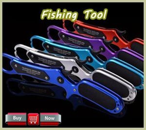 TSURINOYA-Jaguar-2000-3000-Spinning-Fishing-Reel-91BB-Gear-Ratio-521-Double-Metal-Spool-Lure-Reel-32677114406